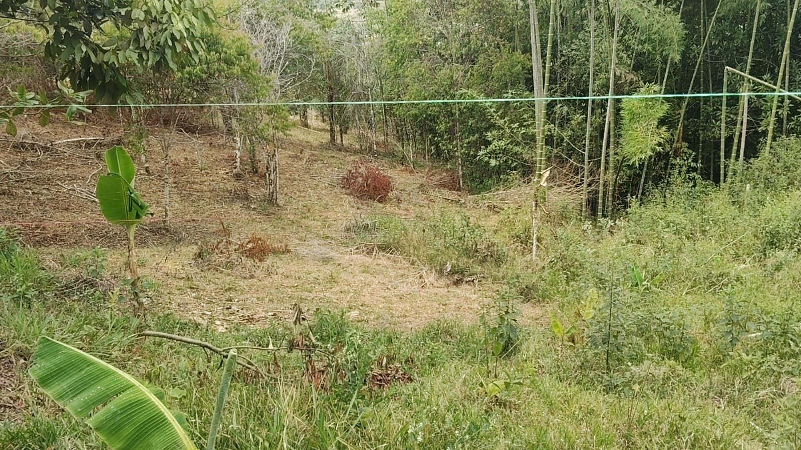 Terreno de Terra Valle en San Vicente, Jamundí