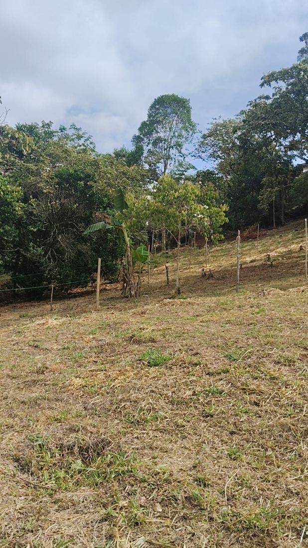 Terreno de Terra Valle en San Vicente, Jamundí